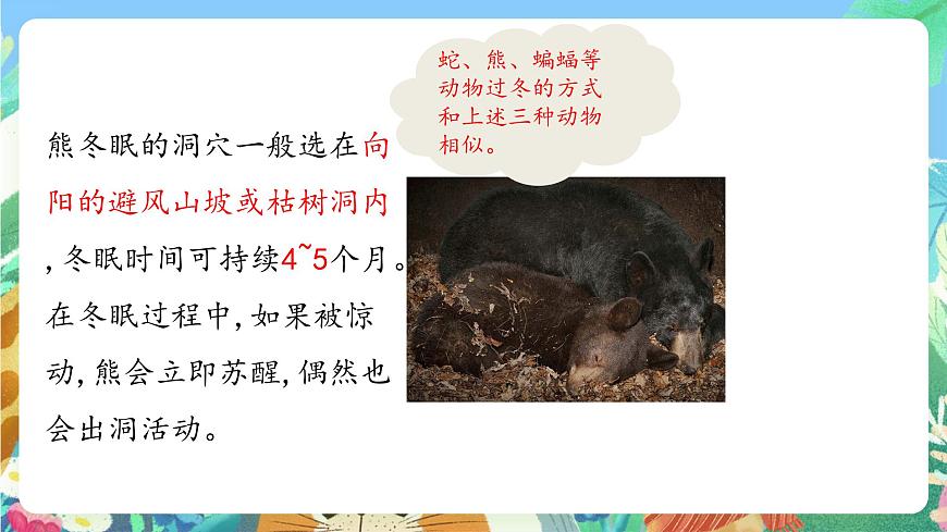 青島版六三制（2017）科學(xué)三年級(jí)上冊(cè)1.4《冬眠與遷徙》課件第5頁(yè)