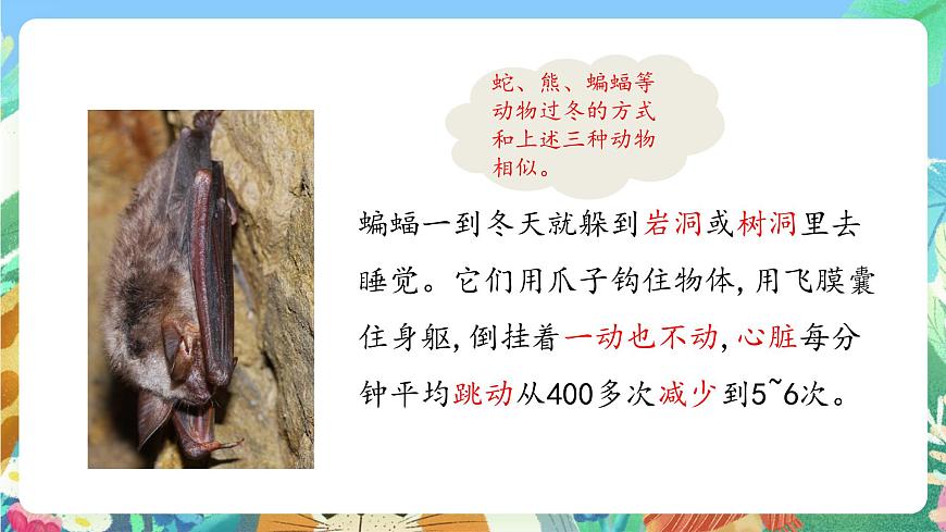 青島版六三制（2017）科學(xué)三年級(jí)上冊(cè)1.4《冬眠與遷徙》課件第6頁(yè)