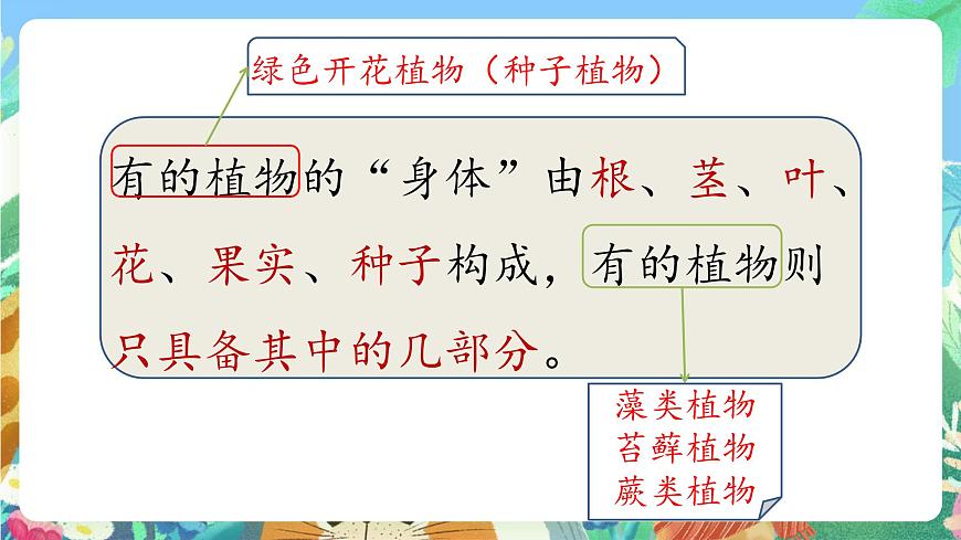 青島版六三制（2017）科學(xué)三年級上冊2.5《植物的“身體》課件第5頁