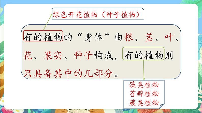 青岛版六三制(2017)科学三年级上册2.5《植物的“身体》课件05