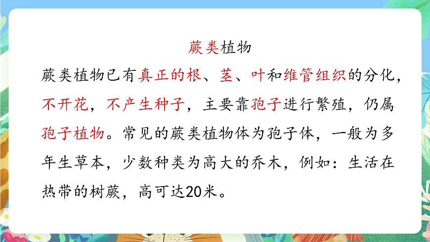 青島版六三制（2017）科學(xué)三年級上冊2.5《植物的“身體》課件第8頁