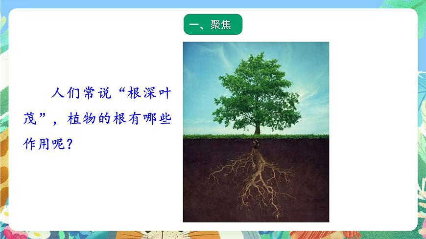 青島版六三制（2017）科學(xué)三年級(jí)上冊(cè)2.6《植物的根》課件第2頁(yè)