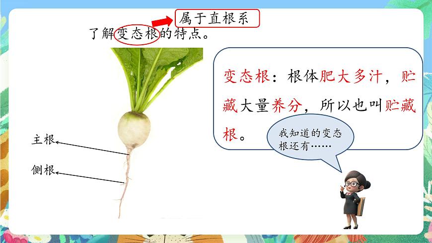 青島版六三制（2017）科學(xué)三年級(jí)上冊(cè)2.6《植物的根》課件第4頁(yè)
