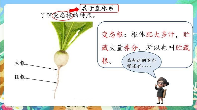 青岛版六三制(2017)科学三年级上册2.6《植物的根》课件04