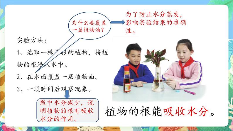 青岛版六三制(2017)科学三年级上册2.6《植物的根》课件08