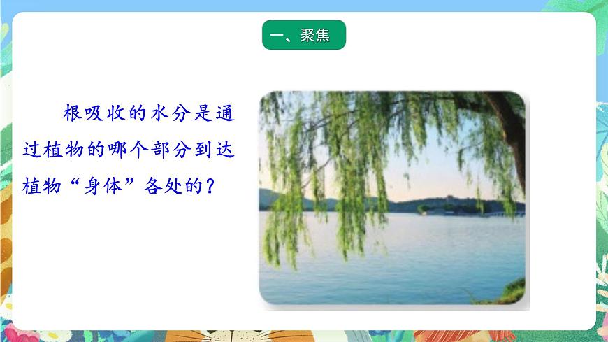 青島版六三制（2017）科學(xué)三年級(jí)上冊(cè)2.7《植物的莖》課件第2頁