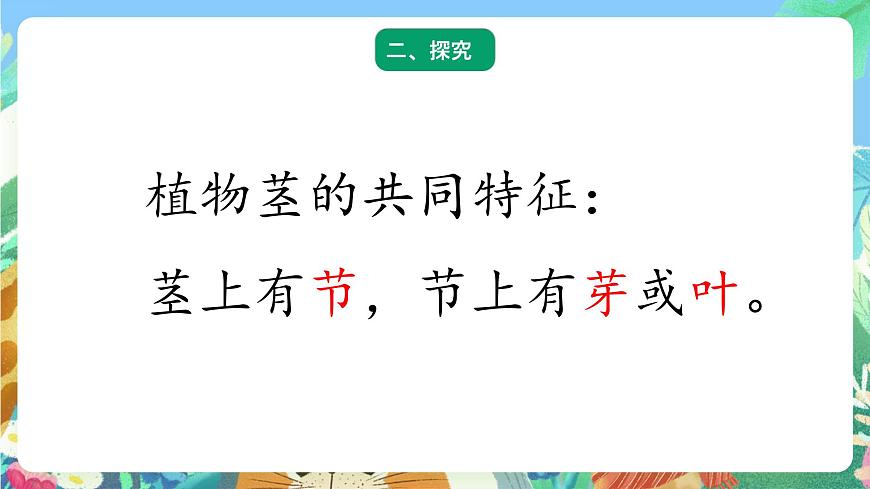 青島版六三制（2017）科學(xué)三年級(jí)上冊(cè)2.7《植物的莖》課件第4頁