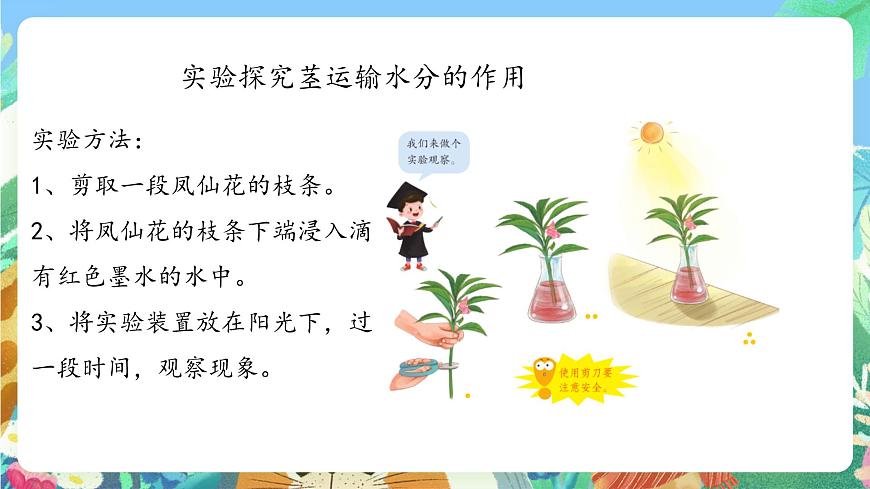青島版六三制（2017）科學(xué)三年級(jí)上冊(cè)2.7《植物的莖》課件第7頁