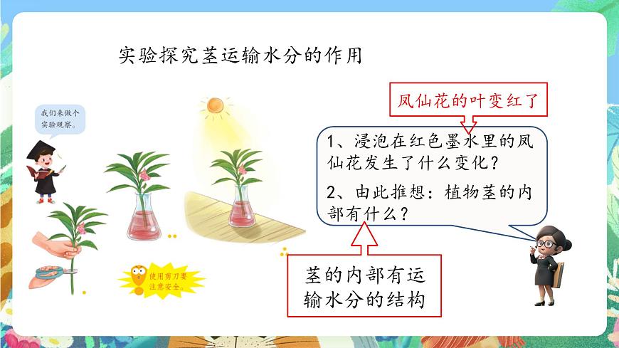 青島版六三制（2017）科學(xué)三年級(jí)上冊(cè)2.7《植物的莖》課件第8頁