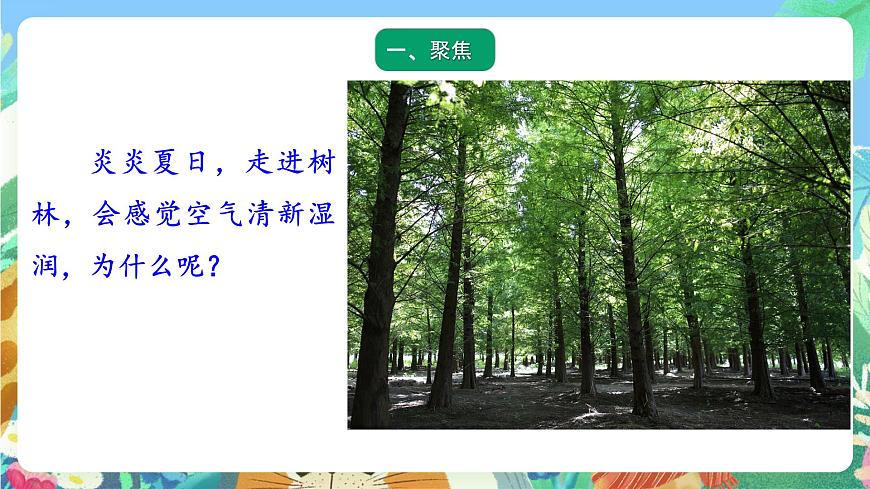 青島版六三制（2017）科學(xué)三年級上冊2.8《葉的蒸騰作用》課件第2頁