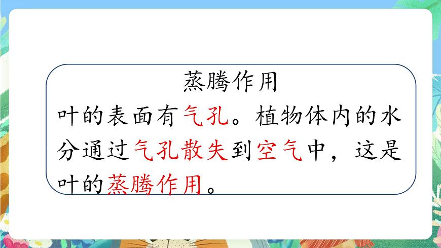 青島版六三制（2017）科學(xué)三年級上冊2.8《葉的蒸騰作用》課件第6頁
