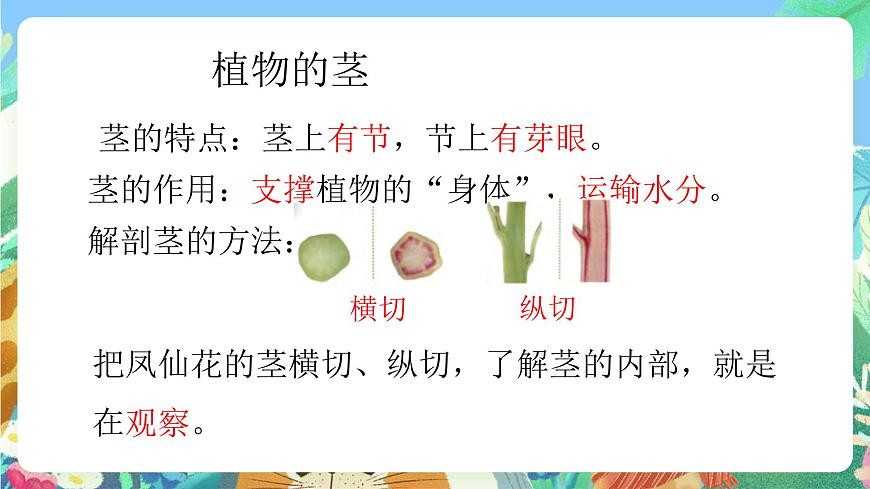 青島版六三制（2017）科學(xué)三年級上冊第2單元《單元評價》課件第5頁