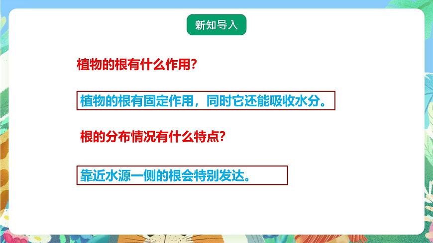 粵教粵科版（2017）科學(xué)五年級上冊1.3《根還吸收了什么》課件第2頁