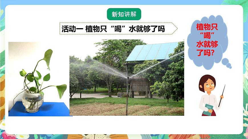 粵教粵科版（2017）科學(xué)五年級上冊1.3《根還吸收了什么》課件第4頁