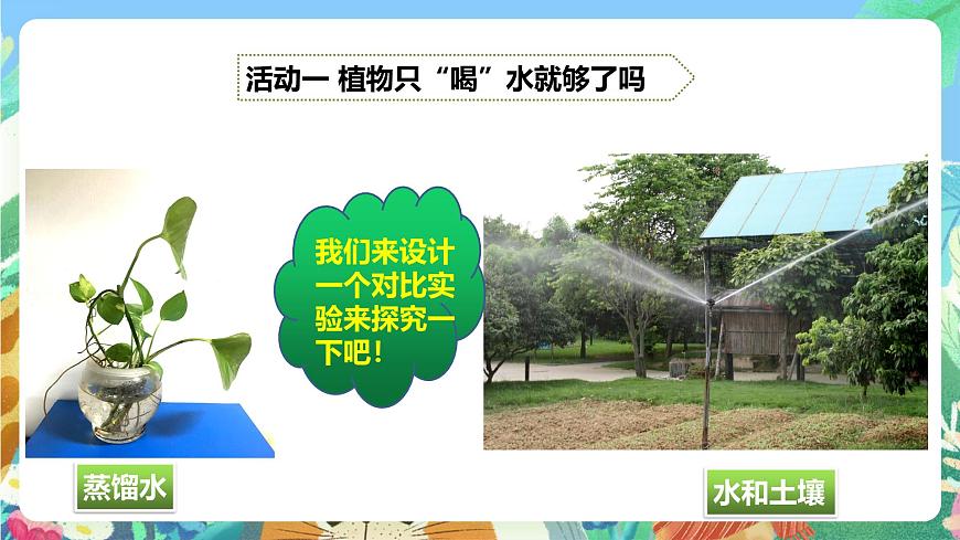 粵教粵科版（2017）科學(xué)五年級上冊1.3《根還吸收了什么》課件第5頁