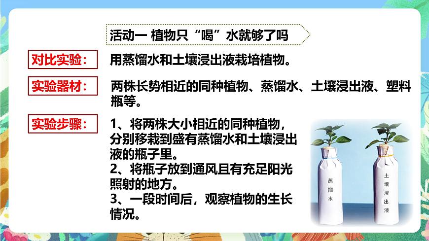 粵教粵科版（2017）科學(xué)五年級上冊1.3《根還吸收了什么》課件第7頁