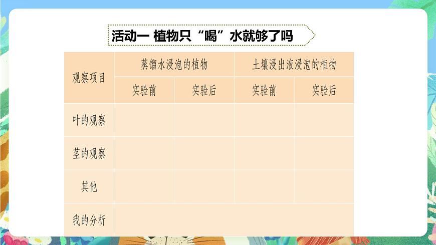 粵教粵科版（2017）科學(xué)五年級上冊1.3《根還吸收了什么》課件第8頁