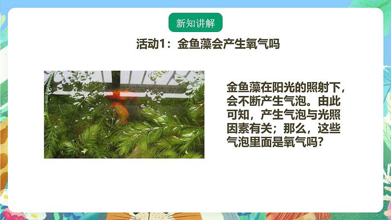 粤教粤科版(2017)科学五年级上册1.7《植物能够利用阳光》课件+教案03