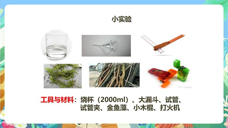 粤教粤科版(2017)科学五年级上册1.7《植物能够利用阳光》课件+教案05