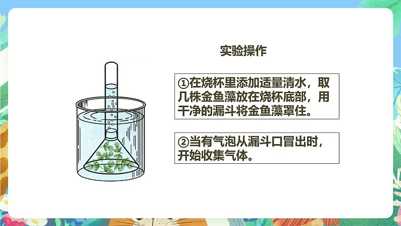 粤教粤科版(2017)科学五年级上册1.7《植物能够利用阳光》课件+教案06