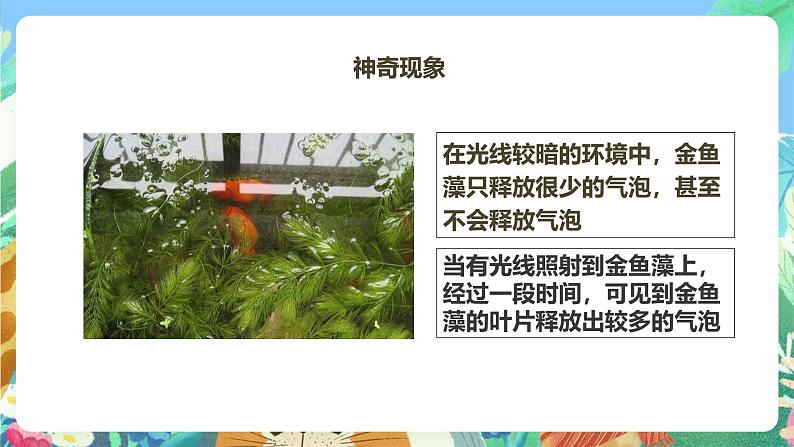 粤教粤科版(2017)科学五年级上册《探究技能:猜想》课件+教案06