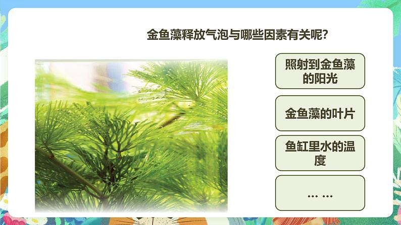 粤教粤科版(2017)科学五年级上册《探究技能:猜想》课件+教案08