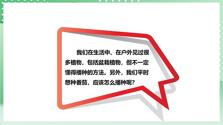 粵教粵科版（2017）科學(xué)四年級上冊1.1《種番茄》課件第3頁