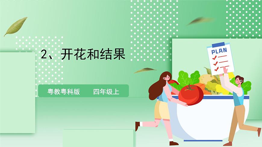 粵教粵科版（2017）科學(xué)四年級上冊1.2《開花和結(jié)果》課件第1頁