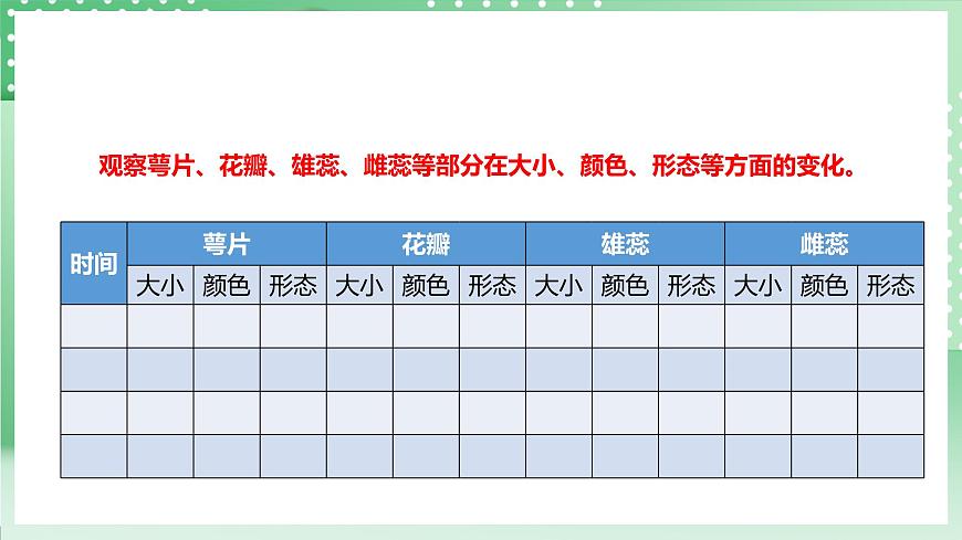 粵教粵科版（2017）科學(xué)四年級上冊1.2《開花和結(jié)果》課件第8頁