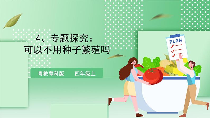 粤教粤科版(2017)科学四年级上册1.4《专题探究:可以不用种子繁殖吗》课件+教案+练习01