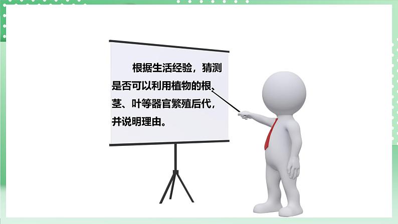 粤教粤科版(2017)科学四年级上册1.4《专题探究:可以不用种子繁殖吗》课件+教案+练习07