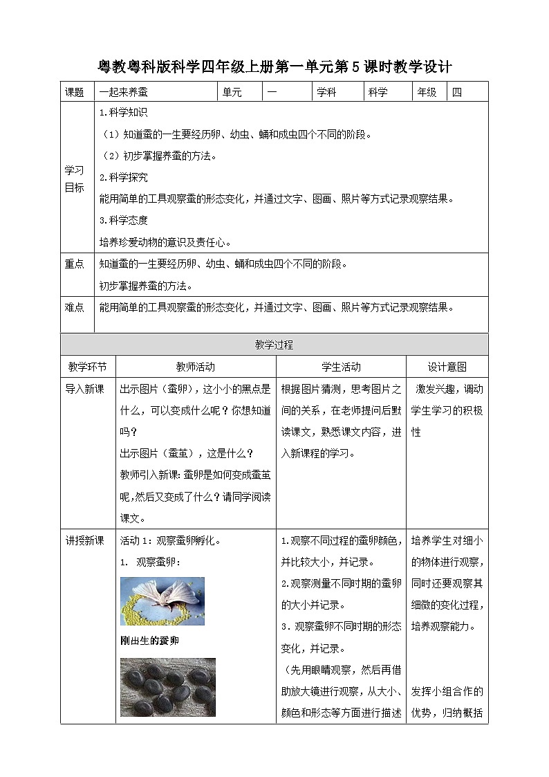 粤教粤科版(2017)科学四年级上册1.5《一起来养蚕》课件+教案+练习01