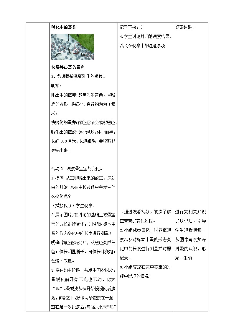 粤教粤科版(2017)科学四年级上册1.5《一起来养蚕》课件+教案+练习02
