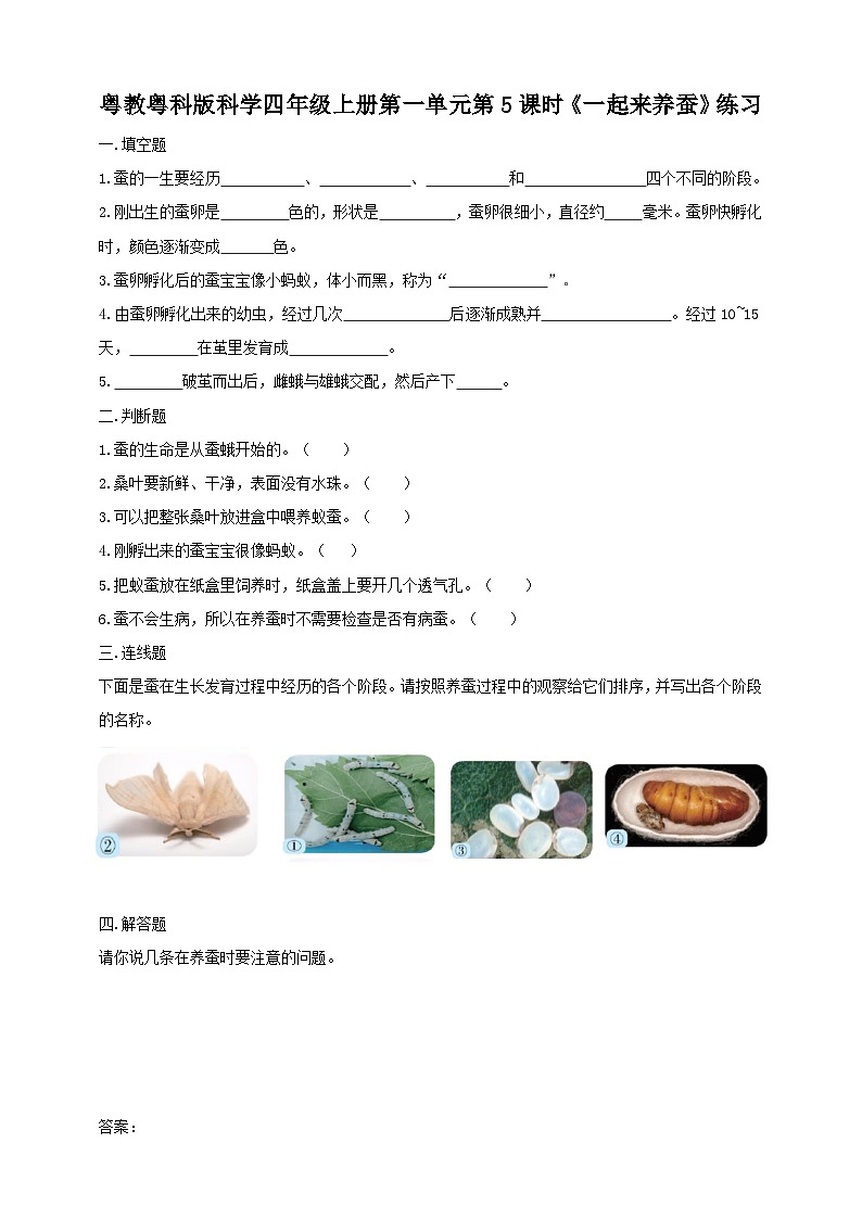 粤教粤科版(2017)科学四年级上册1.5《一起来养蚕》课件+教案+练习01