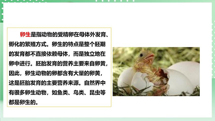 粵教粵科版（2017）科學(xué)四年級(jí)上冊(cè)1.7《胎生動(dòng)物》課件第8頁(yè)