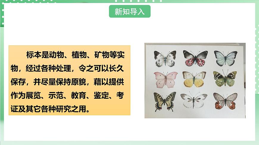 粵教粵科版（2017）科學(xué)四年級上冊2.9《制作巖石標(biāo)本盒》課件第2頁