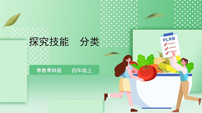 粤教粤科版(2017)科学四年级上册《探究技能 分类》课件+教案+练习01