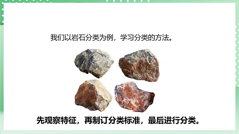粤教粤科版(2017)科学四年级上册《探究技能 分类》课件+教案+练习04