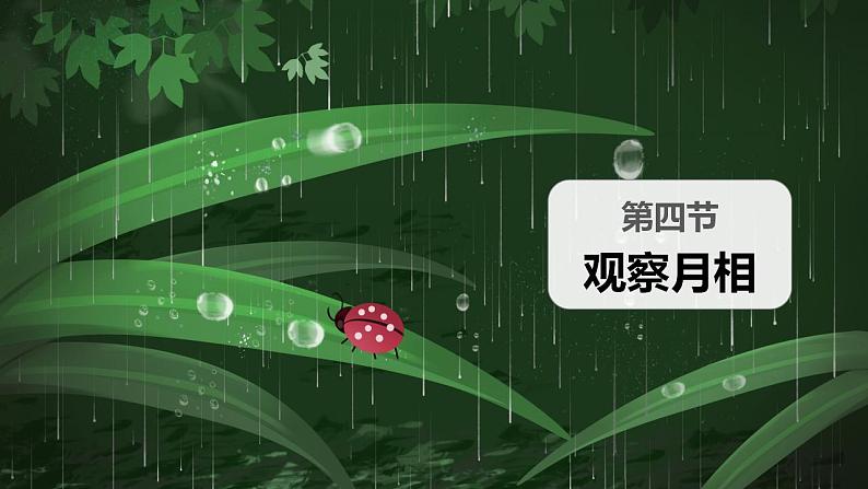 教科版(2017秋) 小学科学二年级上册1.4 观察月相 课件+视频+教案02