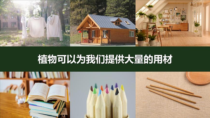 第七節(jié) 做大自然的孩子第5頁