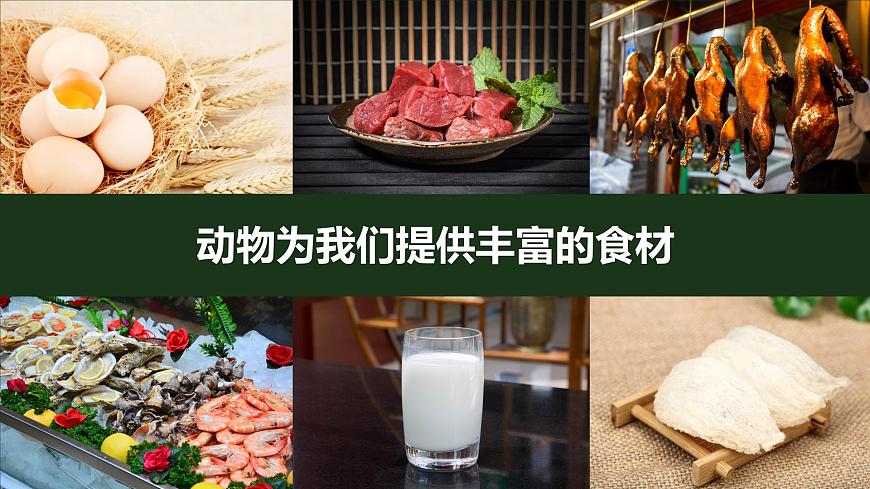 第七節(jié) 做大自然的孩子第7頁