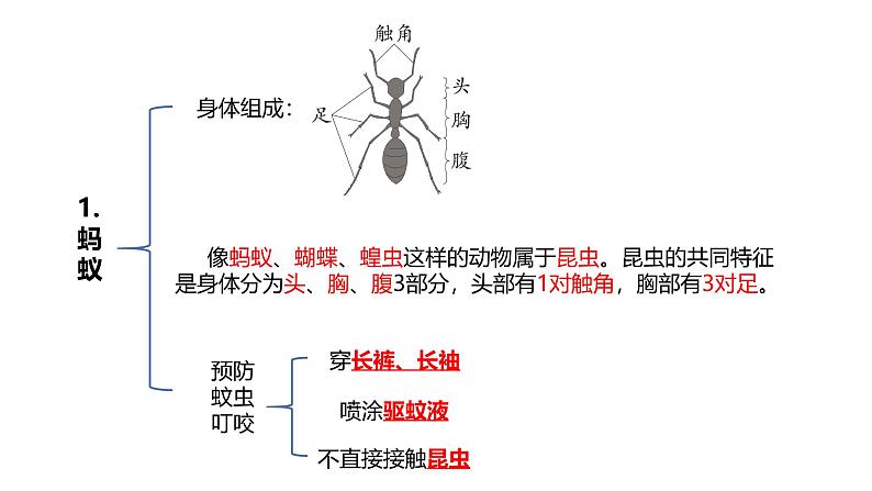 青岛版(六三制2017秋) 四年级上册第1单元(动物王国) 复习课件03