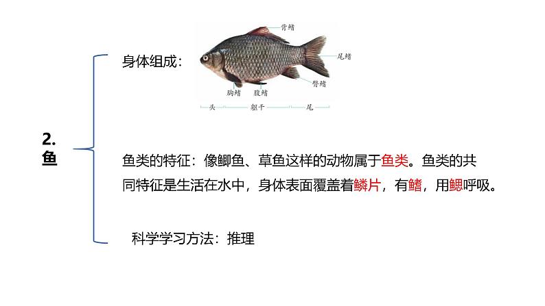 青岛版(六三制2017秋) 四年级上册第1单元(动物王国) 复习课件04