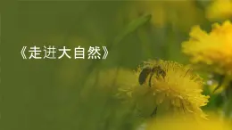 粤教粤科版（2017秋）一年级科学上册 1 走进大自然 课件