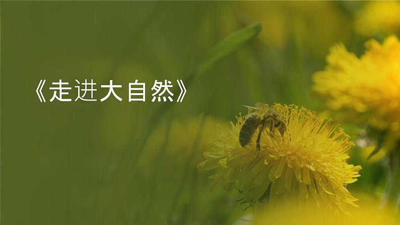 粤教粤科版(2017秋)一年级科学上册 1 走进大自然 课件01