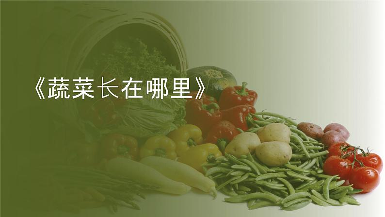 粤教粤科版(2017秋)一年级科学上册 7 蔬菜长在哪里 课件01