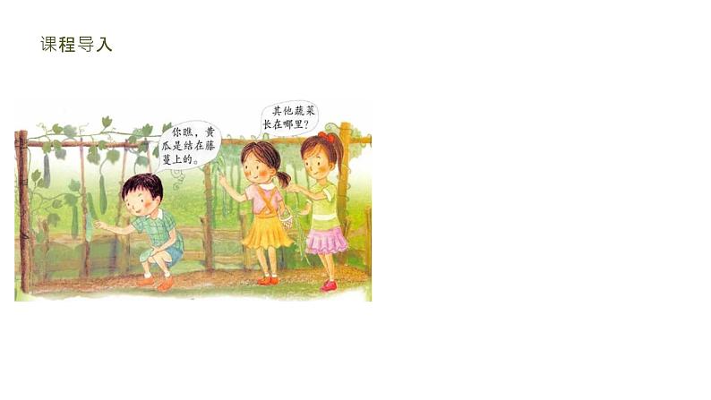 粤教粤科版(2017秋)一年级科学上册 7 蔬菜长在哪里 课件02