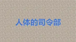 冀人版（2017秋）小学科学五年级上册2.6人体的司令部 课件