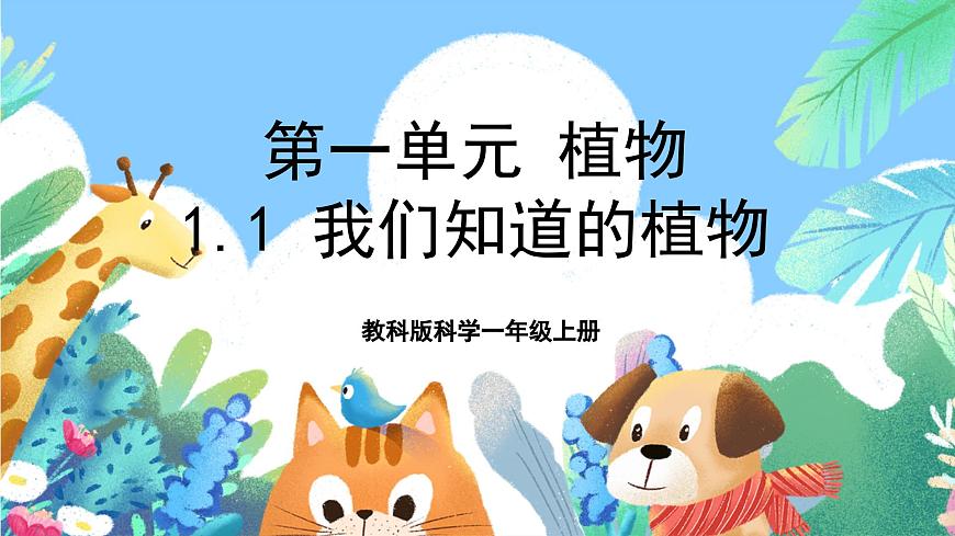 【核心素養(yǎng)目標(biāo)新課標(biāo)】教科版科學(xué)一上1.1《 我們知道的植物》 教學(xué)課件第1頁(yè)