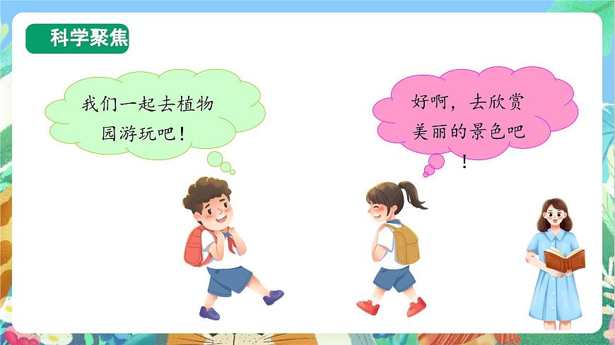 【核心素養(yǎng)目標(biāo)新課標(biāo)】教科版科學(xué)一上1.2 《觀察一顆植物 》 教學(xué)課件第3頁